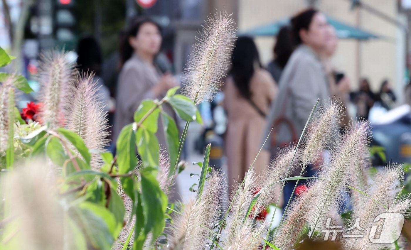 본문 이미지 - 서울 아침 기온이 12도를 기록하며 쌀쌀한 가을 날씨를 보인 1일 오전 서울 종로구 광화문 네거리에서 직장인들이 출근을 하고 있다. 2026.10.1 ⓒ 뉴스1 김성진 기자