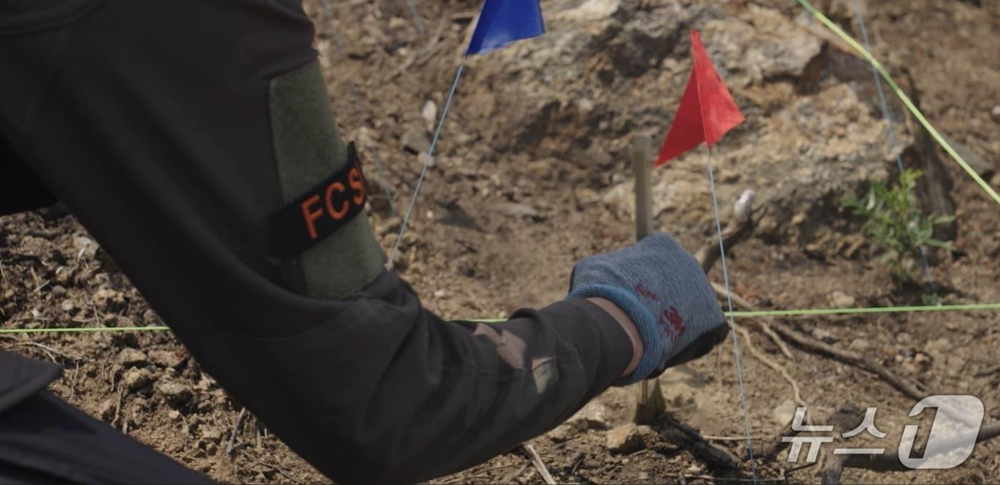 본문 이미지 - 산불 원인 조사 모습. (한국산림재난안전기술공단 제공. 재판매 및 DB금지) /뉴스1