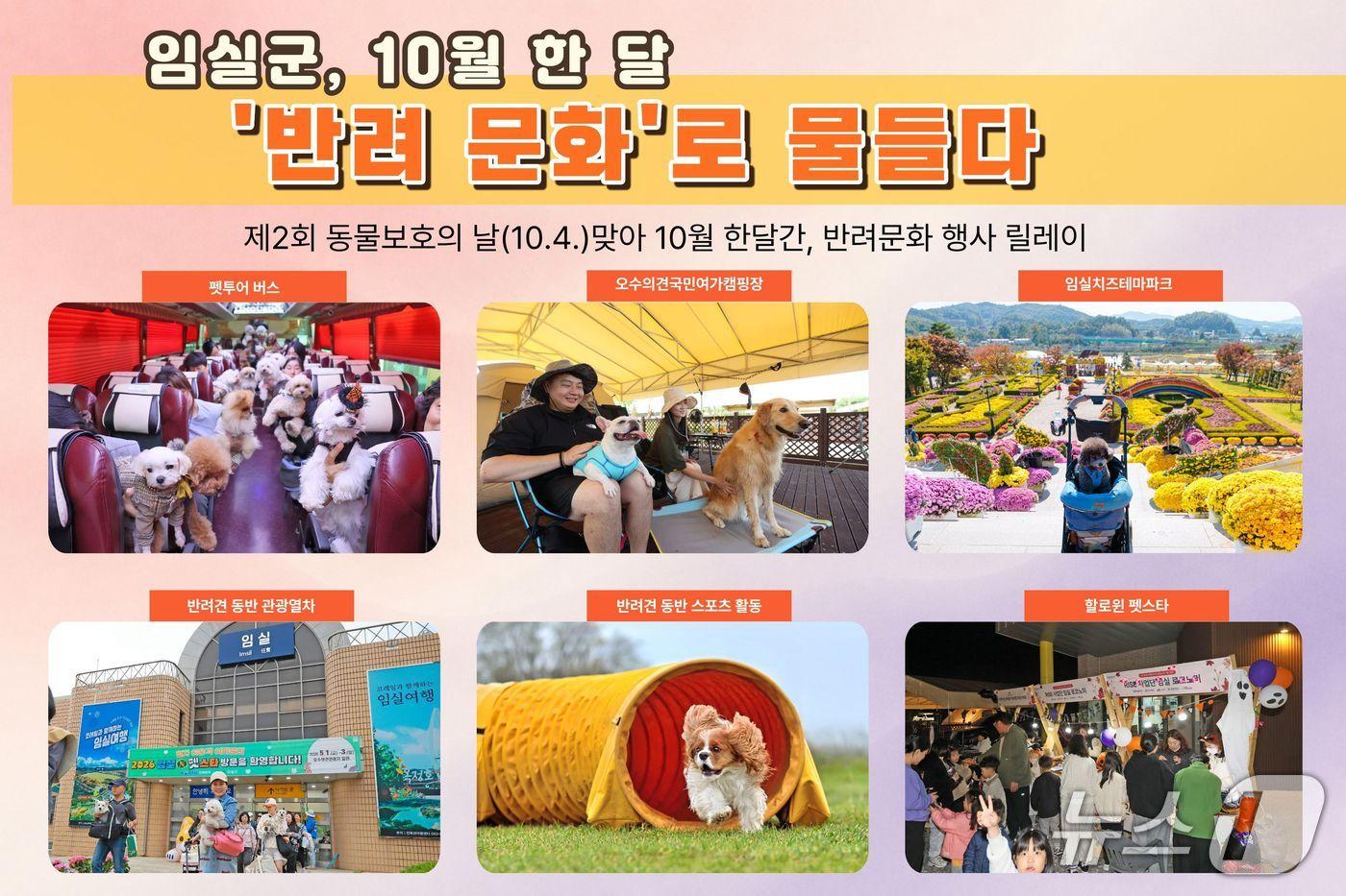 본문 이미지 - 전북 임실군이 10월 한 달간 반려동물과 함께 즐길 수 있는 행사를 개최한다.(임실군 제공. 재판매 및 DB금지) 2026.10.1/뉴스1