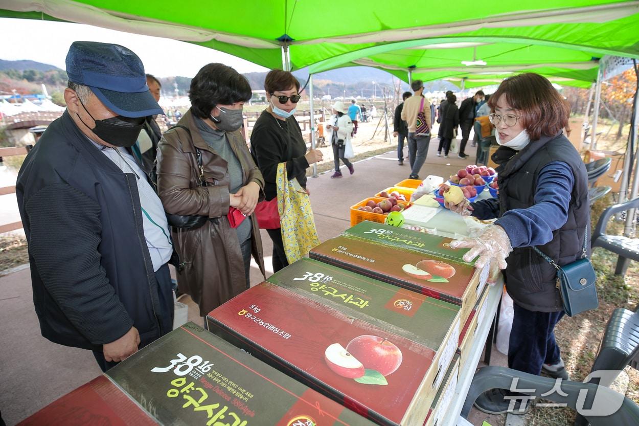 본문 이미지 - 청춘양구 펀치볼 사과·시래기축제 자료사진.(뉴스1 DB)