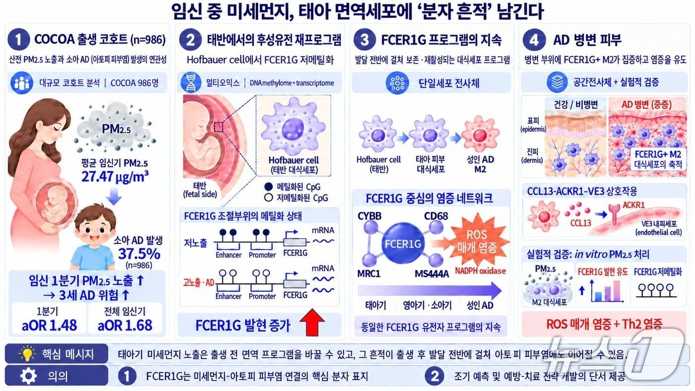 본문 이미지 - (경희대 제공)