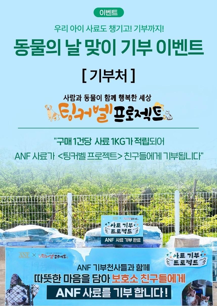 본문 이미지 - 우리와주식회사, 세계 동물의 날 맞아 보호동물 위한 기부 프로모션 진행(우리와 제공) ⓒ 뉴스1