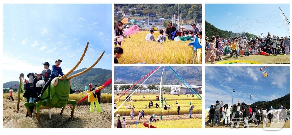 본문 이미지 - 성주 메뚜기 축제 자료사진(성주군 제공. 재판매 및 DB 금지)/뉴스1