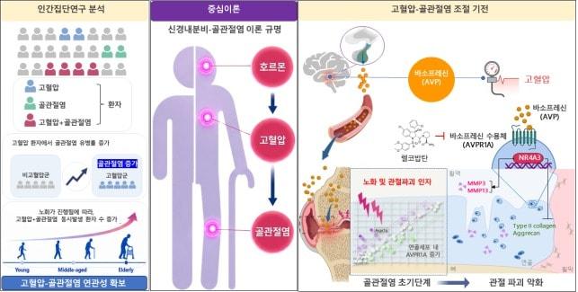 본문 이미지 - (과기정통부 제공)
