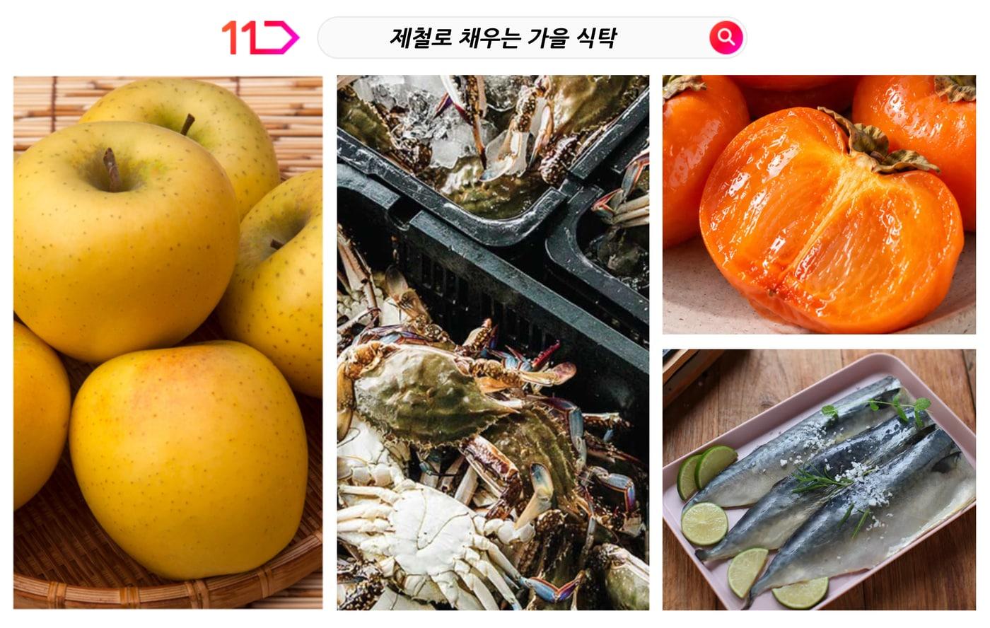 본문 이미지 - 11번가 제공