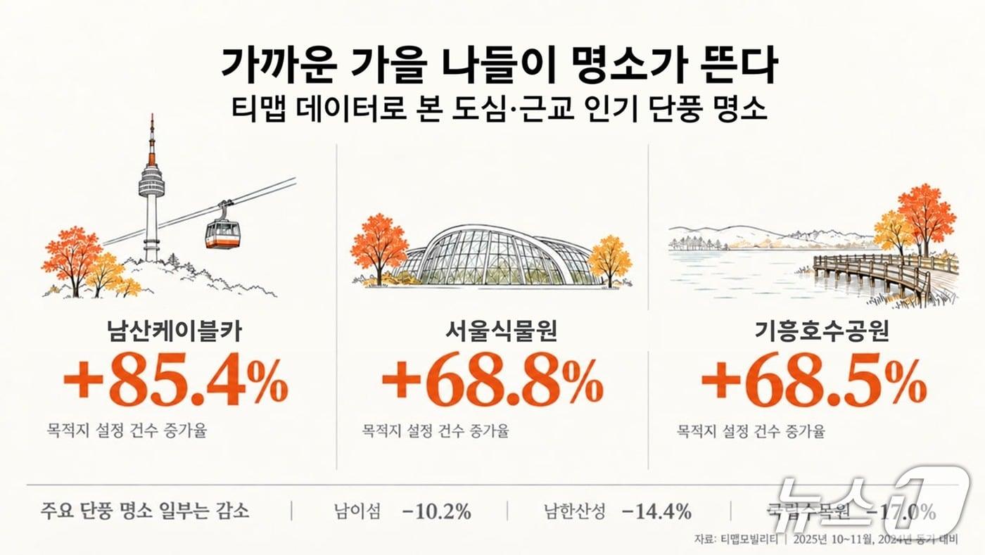 본문 이미지 - 티맵모빌리티 제공(재판매 및 DB 금지)