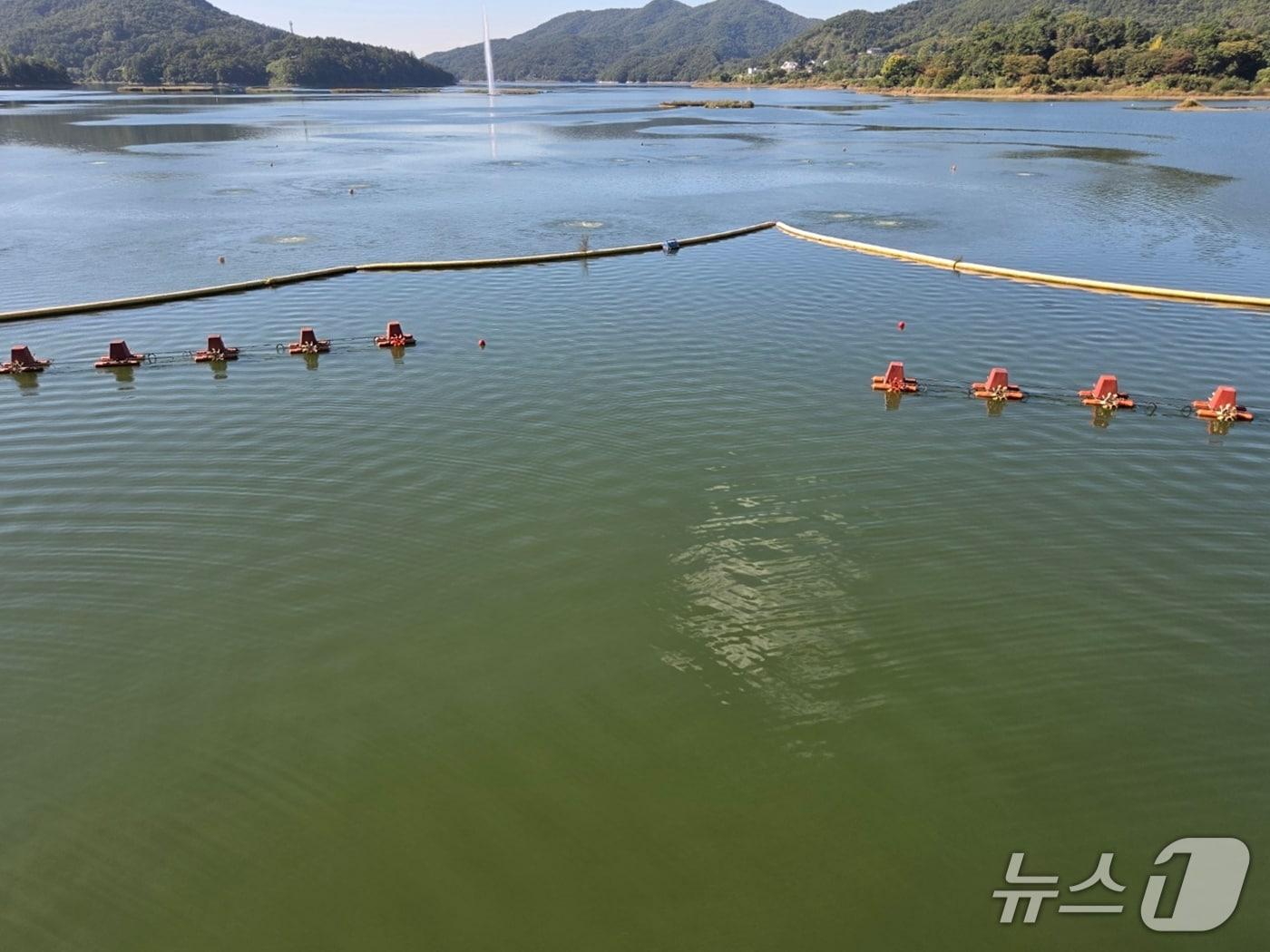 본문 이미지 - 녹조로 덮인 대청호.(청주시 제공. 재판매 및 DB금지) 2026.10.12 ⓒ 뉴스1
