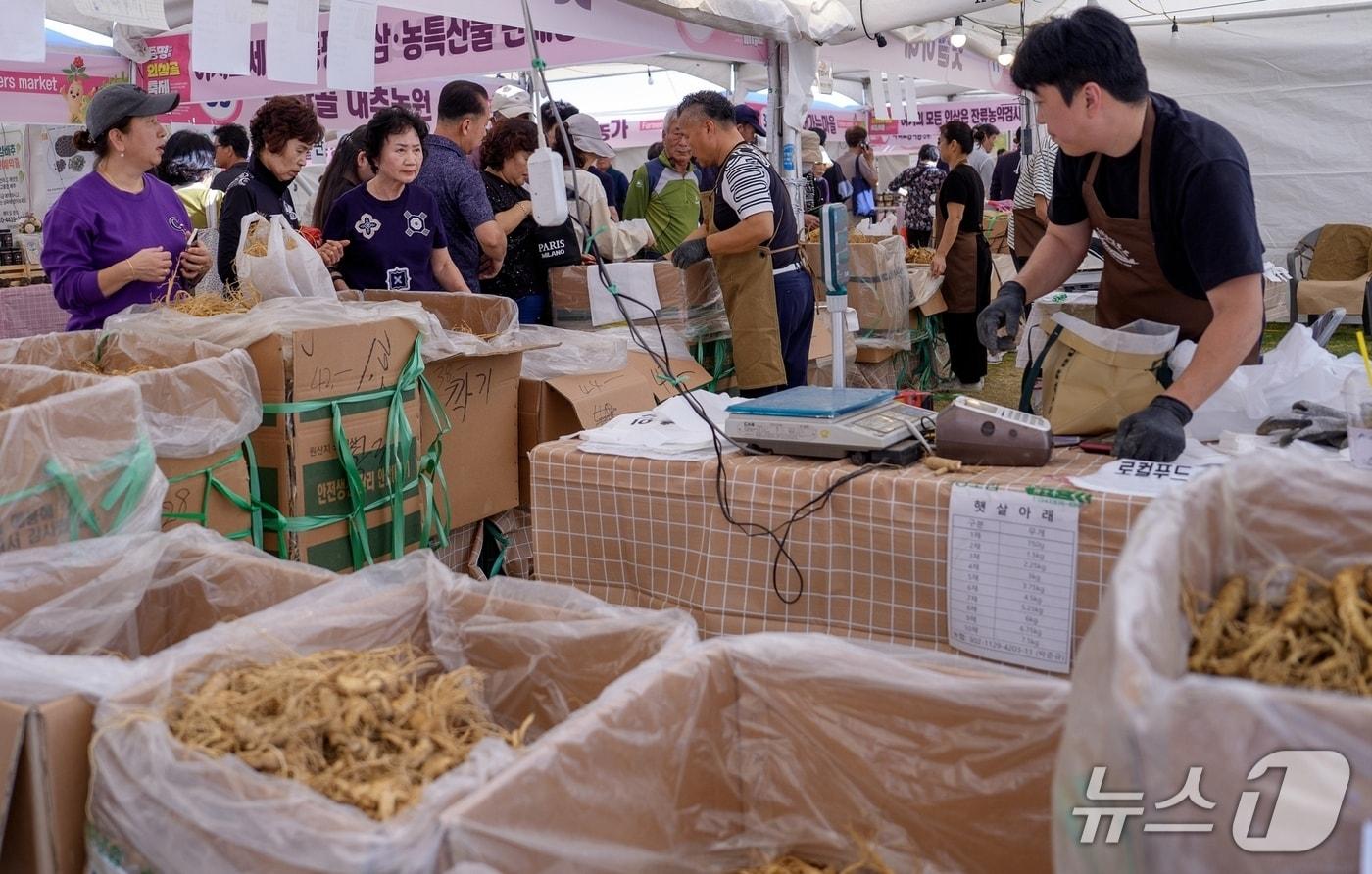 본문 이미지 - 증평인삼골축제 인삼판매장이 성황을 이루는 모습.(증평군 제공. 재판매 및 DB 금지).2026.10.12/뉴스1