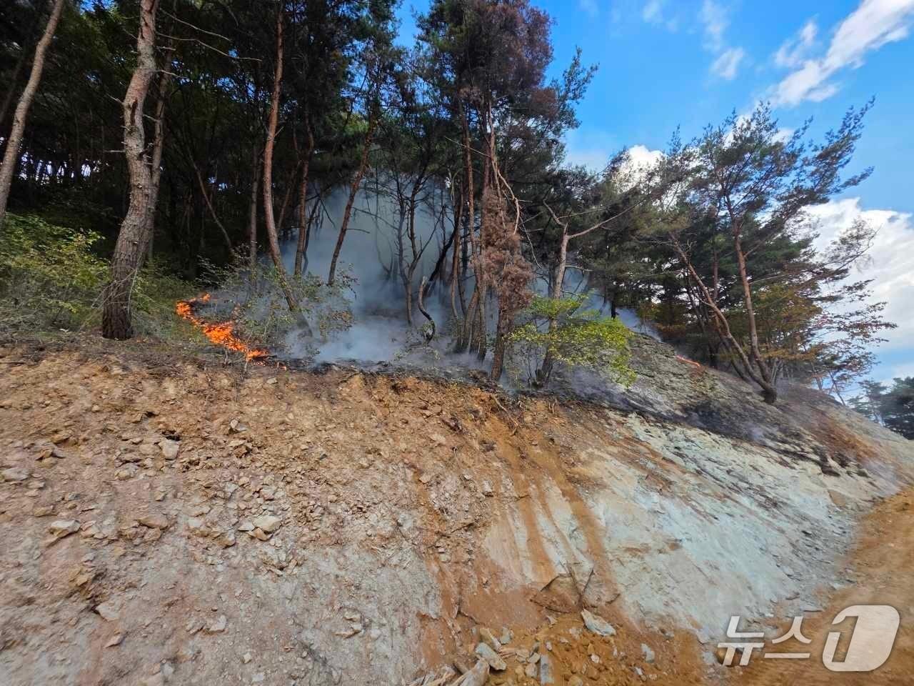 본문 이미지 - 12일 오후 2시 57분쯤 경북 청도군 이서면 문수리 한 야산에서 불이나 산림과 소방 당국이 진화에 나섰다.(경북소방본부 제공. 재판매 및 DB 금지)2026.10.12/뉴스1