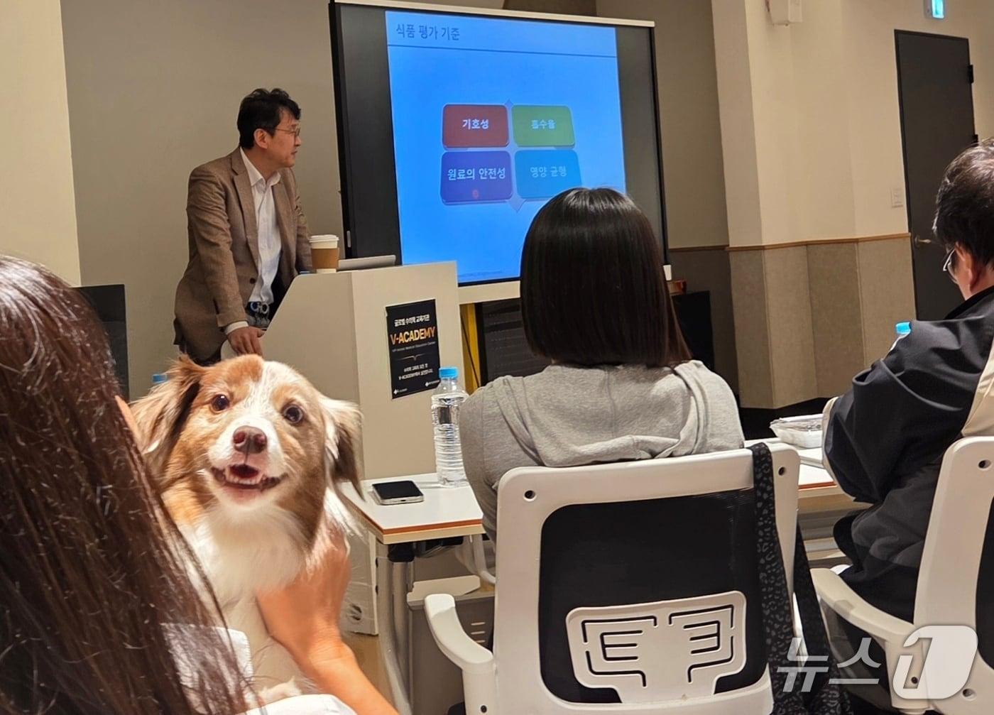본문 이미지 - 12일 서울 강남구 VIP동물의료센터 청담점에서는 한국반려동물영양연구소와 독핏 임직원을 대상으로 '반려견 웰니스 케어 전문 세미나'가 열렸다. ⓒ 뉴스1 최서윤 기자