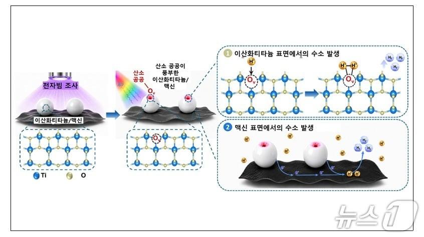 본문 이미지 - 이산화티타늄/맥신 광촉매의 수소 발생 향상 설명도. (전북대학교 유승화 교수 제공. 재판매 및 DB 금지) 2026.10.13/뉴스1