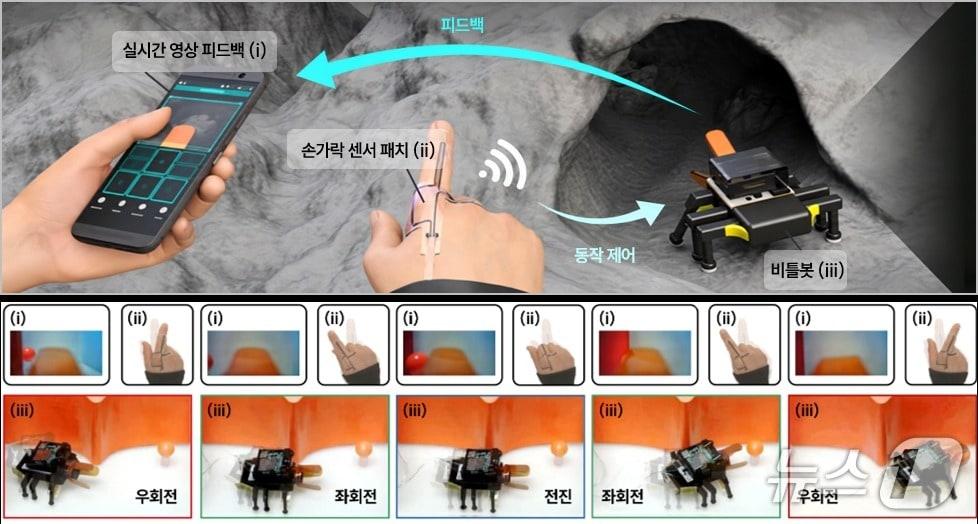 본문 이미지 - 원격 제어와 시각 및 촉각 피드백을 활용한 비틀봇의 양방향 피드백 기반 작업 수행(KAIST 제공) /뉴스1