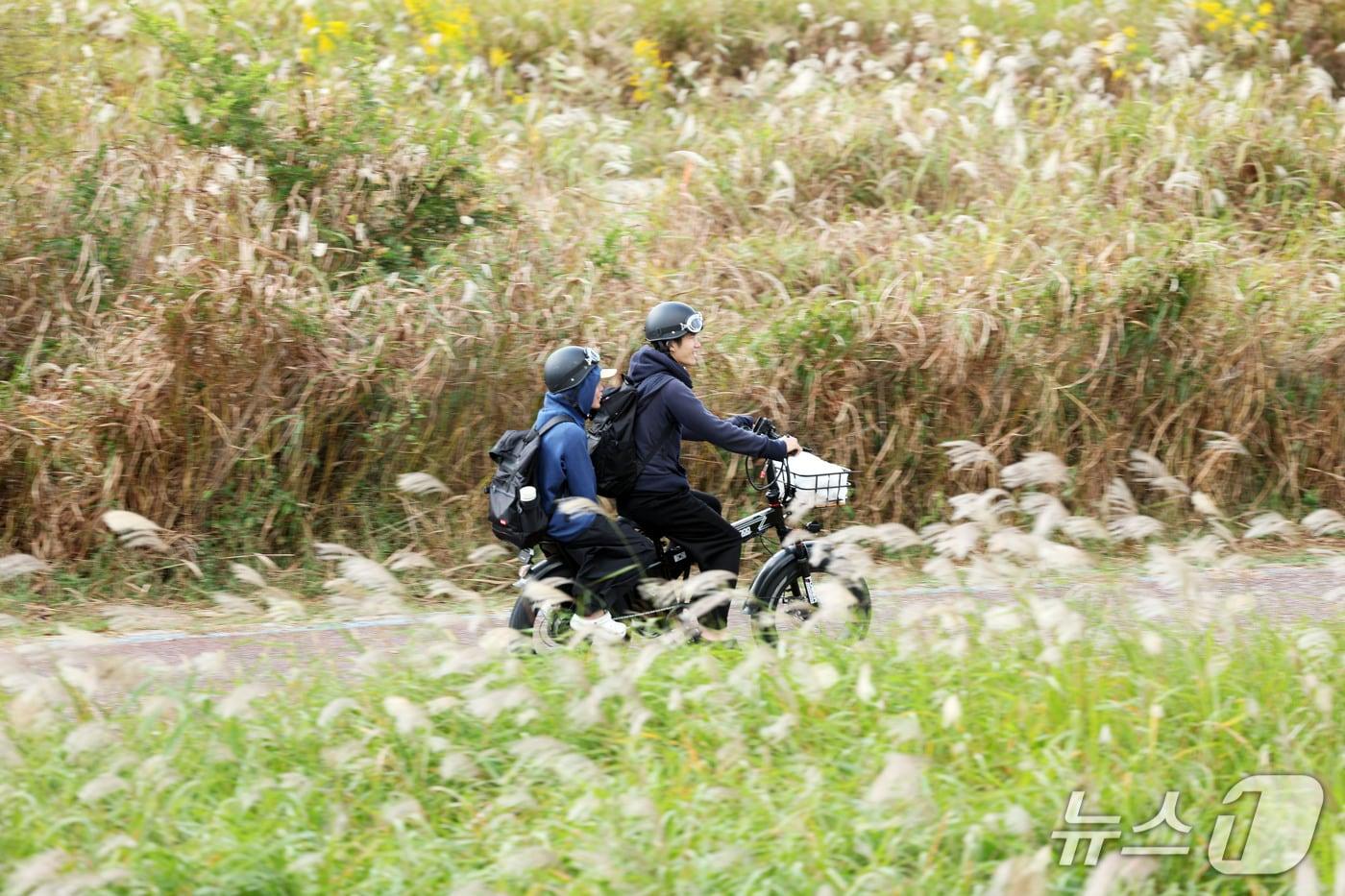 본문 이미지 - 13일 전남광주 서구 극락교 영산강변을 찾은 자전거 관광객이 은빛 억새밭을 걸으며 가을 정취를 만끽하고 있다. 2026.10.13 ⓒ 뉴스1 조수민 기자