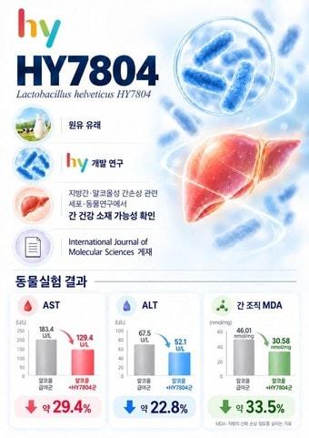 본문 이미지 - 프로바이오틱스 'HY7804' 관련 설명(hy 제공). 2026.10.14/뉴스1