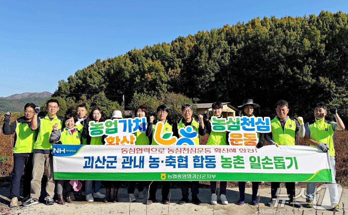 본문 이미지 - 농협 괴산군지부 농촌일손돕기.(농협 괴산군지부 제공. 재판매 및 DB 금지).2026.10.14/뉴스1