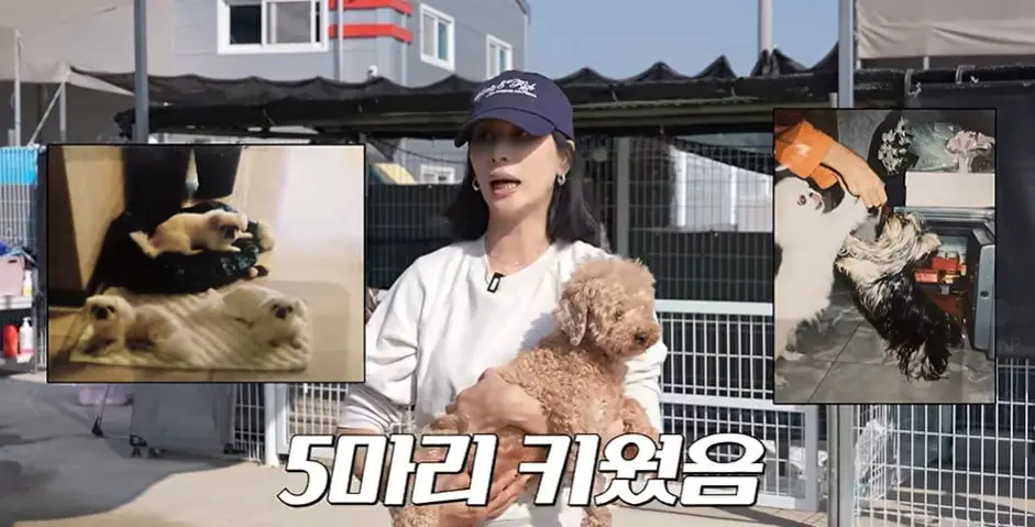 본문 이미지 - 유튜브 채널 '고소영' 캡처