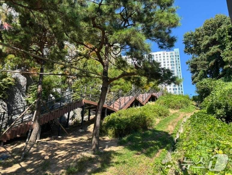 본문 이미지 - 강원 춘천 온의동 아파트 사이 녹지공간 조성 현장.(춘천시 제공. 재판매 및 DB금지)