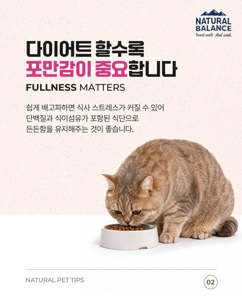 본문 이미지 - 내추럴발란스 제공 ⓒ 뉴스1