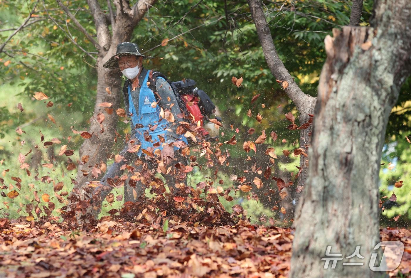 본문 이미지 - 완연한 가을 날씨를 보인 15일 경기 수원시 권선구 서호공원에서 공원 관계자가 송풍기로 낙엽을 치우고 있다. ⓒ 뉴스1 김영운 기자