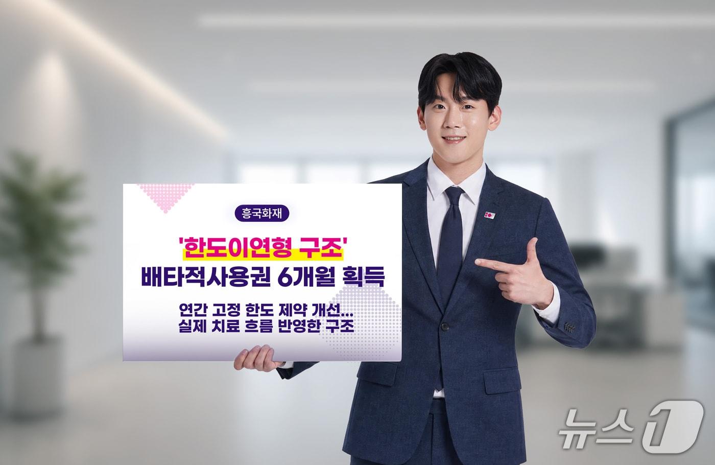 본문 이미지 - 흥국화재, 한도이연형 구조로 배타적사용권 6개월 획득/사진제공=흥국화재