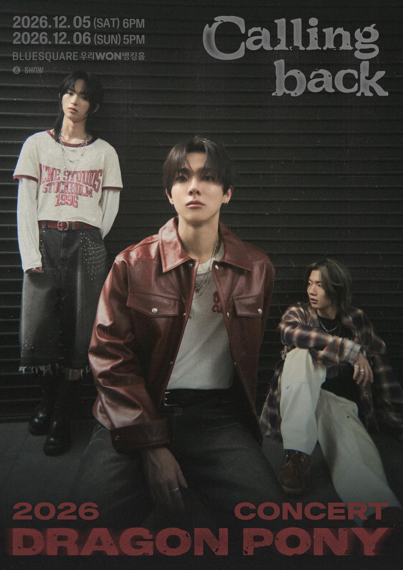 본문 이미지 - 드래곤포니