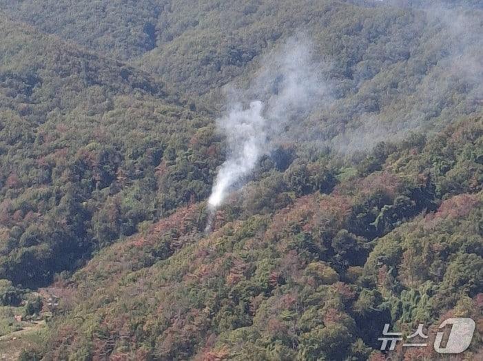 본문 이미지 - 15일 울산 북구 어물동 새바지산 정상 인근에서 불이 나 산림 당국과 소방 당국이 진화했다.(울산소방본부 제공. 재판매 및 DB 금지)/뉴스1