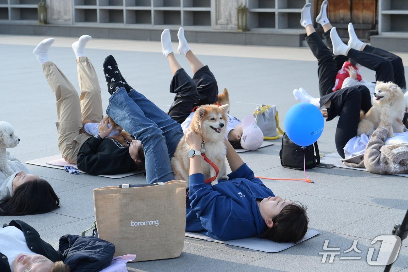 본문 이미지 - '2026 반려견과 함께하는 선명상 축제' (남양주시불교연합회 제공. 재판매 및 DB 금지) 2026.10.16/뉴스1