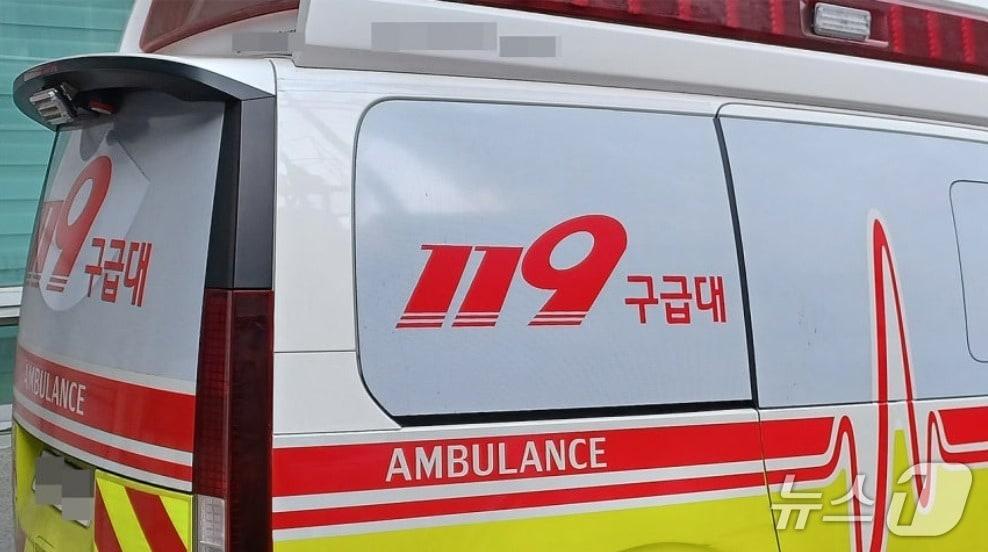 본문 이미지 - 119 구급차 / 뉴스1 ⓒ News1