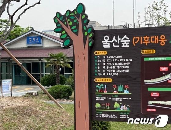 본문 이미지 - 폐쇄된 울산 북구 호계역 동해남부선 폐선부지에 조성된 기후대응도시숲 '울산숲'. 2024.4.21/뉴스1 ⓒ News1 김세은 기자