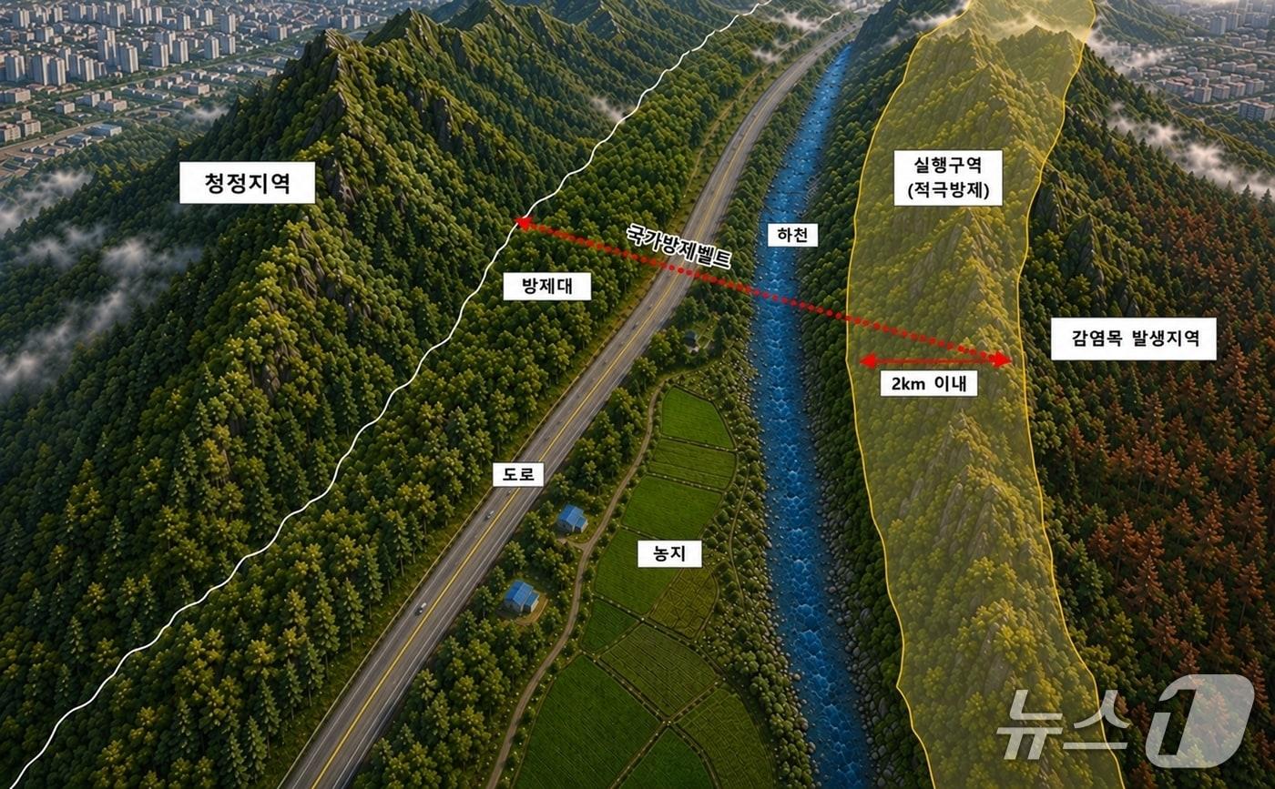 본문 이미지 - 소나무재선충병 국가방제벨트 모식도 (산림청 제공. 재판매 및 DB금지) /뉴스1
