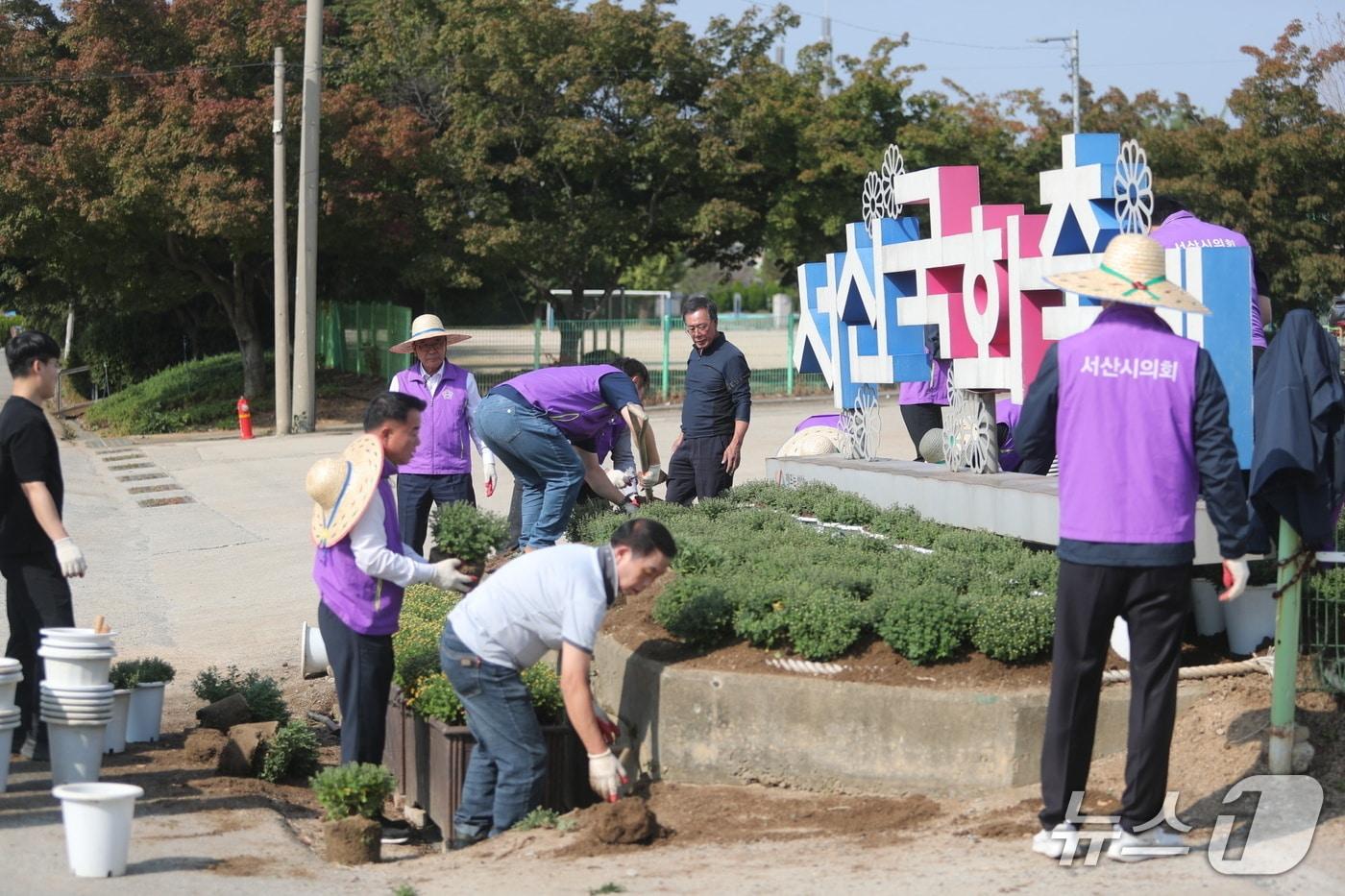 본문 이미지 - 16일 충남 서산시 고북면 서산국화축제장에서 서산시의회 의원들과 의회사무국 직원들이 제26회 서산국화축제의 성공적인 개최를 위해 국화 식재와 화단 조성 등 봉사활동을 펼치고 있다.(서산시의회 제공. 재판매 및 DB 금지)