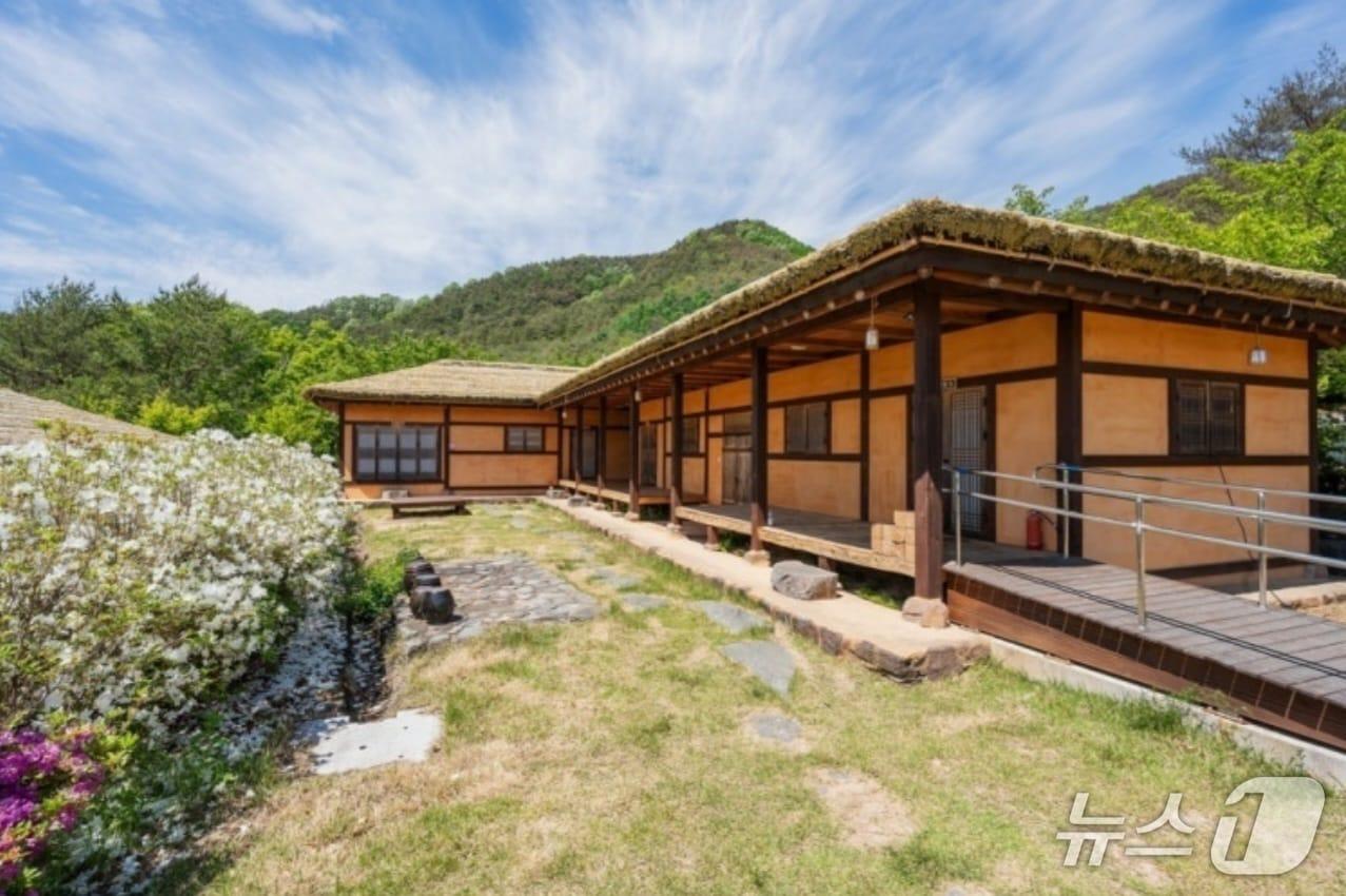 본문 이미지 - 황정인씨가 운영하는 영양 산적 펜션 전경(본인 제공. 재판매 및 DB 금지)2026.10.16/뉴스1