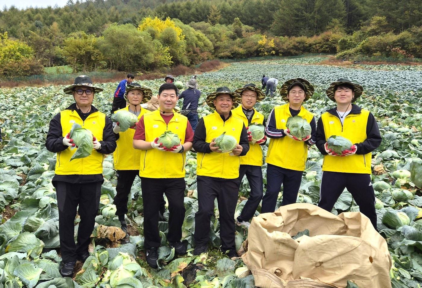 본문 이미지 - 10월 16일 강원도 인제군 소재 양배추 농가에서 오뚜기 '한국농업 상생발전 TFT' 구성원들이 직접 수확한 양배추를 들고 기념촬영을 하고 있다.(오뚜기 제공)