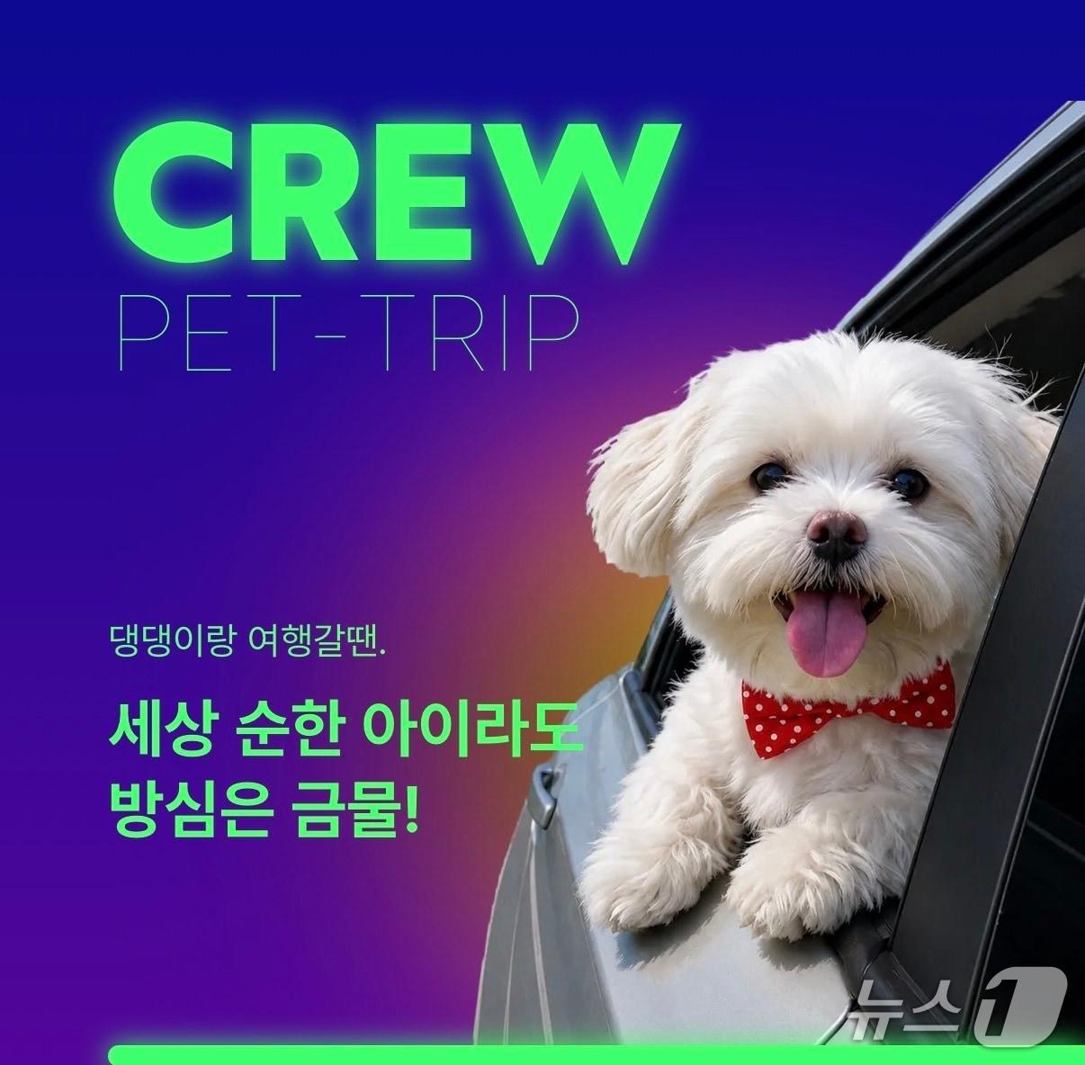 본문 이미지 - 반려견 돌발행동부터 견주 상해까지...롯데손보 '댕댕이랑 여행갈땐 보험' 출시/사진제공=롯데손해보험