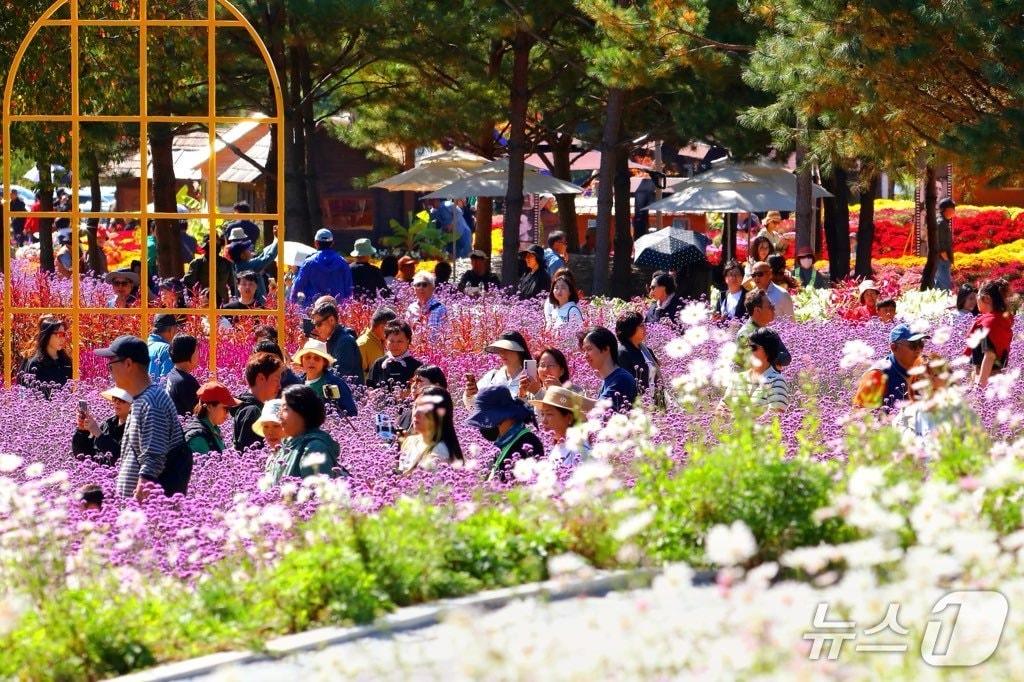 본문 이미지 - '2026 인제가을꽃축제'.(인제군 제공. 재판매 및 DB 금지)/뉴스1