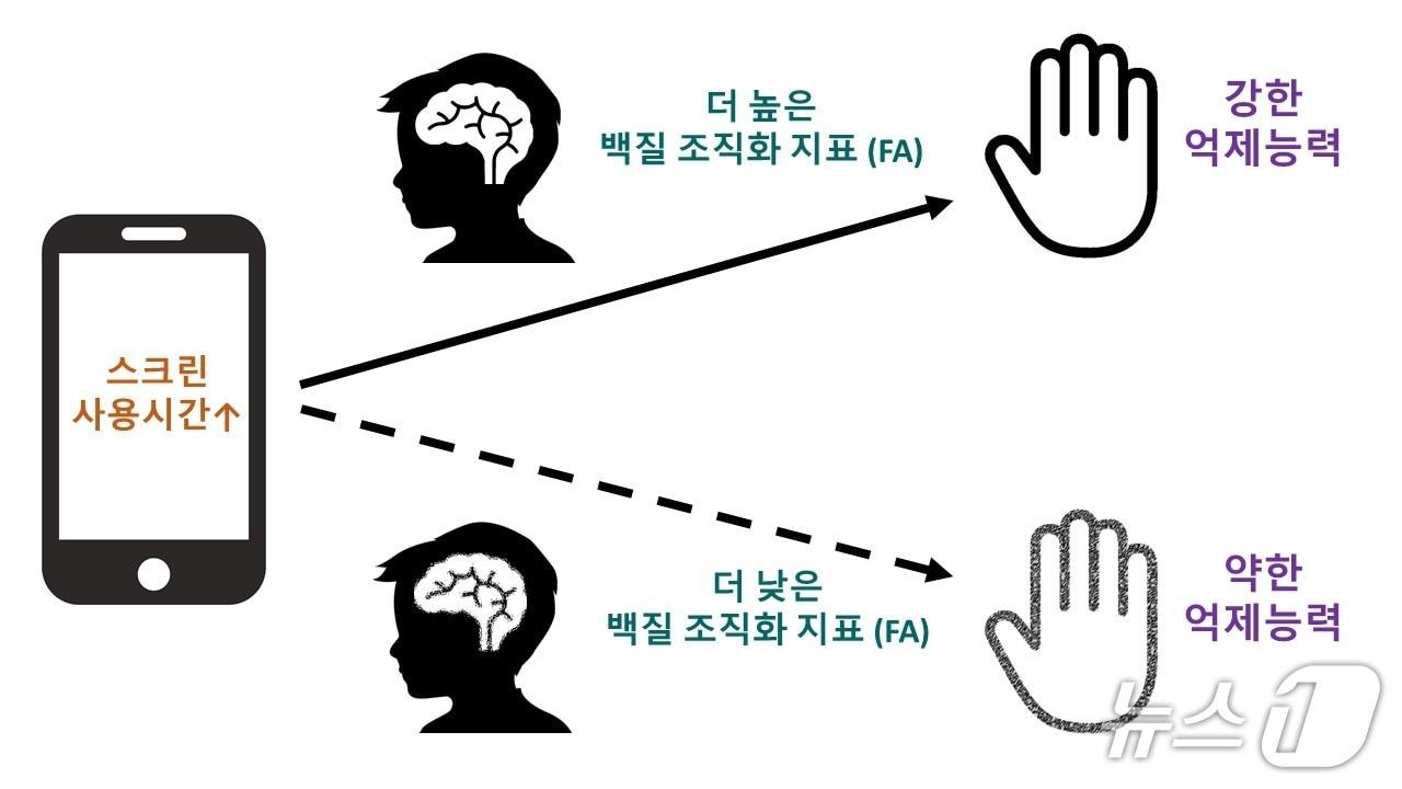 본문 이미지 - 뇌 백질 특성에 따른 스크린 사용시간과 억제조절력 관계를 나타낸 그림.(고려대 구로병원 제공)