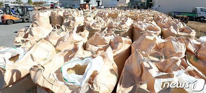 본문 이미지 - 전주시는 오는 11월 5일부터 23일까지 2026년산 공공비축미 1695톤을 매입한다./뉴스1 DB