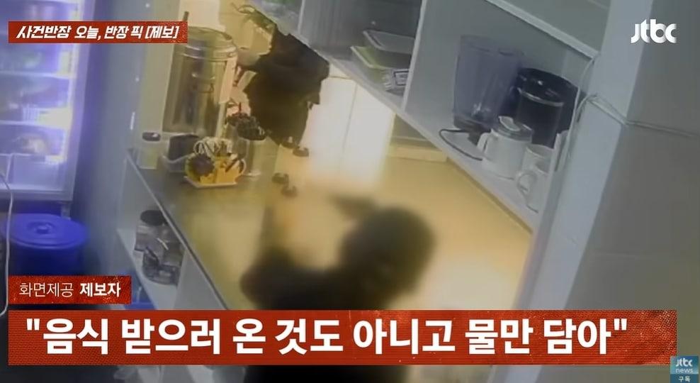 본문 이미지 - JTBC '사건반장'