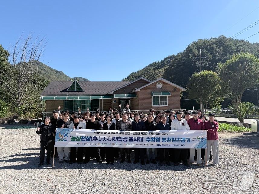 본문 이미지 - 농촌일손돕기 봉사활동.(농협 강원본부 제공. 재판매 및 DB 금지)/뉴스1