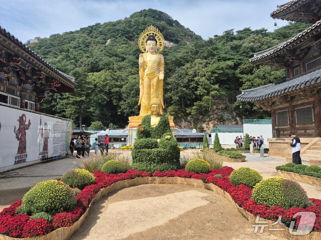 본문 이미지 - 네스코 지정 세계문화유산인 충북 보은의 속리산 법주사에서 오는 9일 가을 국화 향연이 펼쳔진다.(보은군 제공. 재판매 및 DB 금지) 2026.10.4/뉴스1