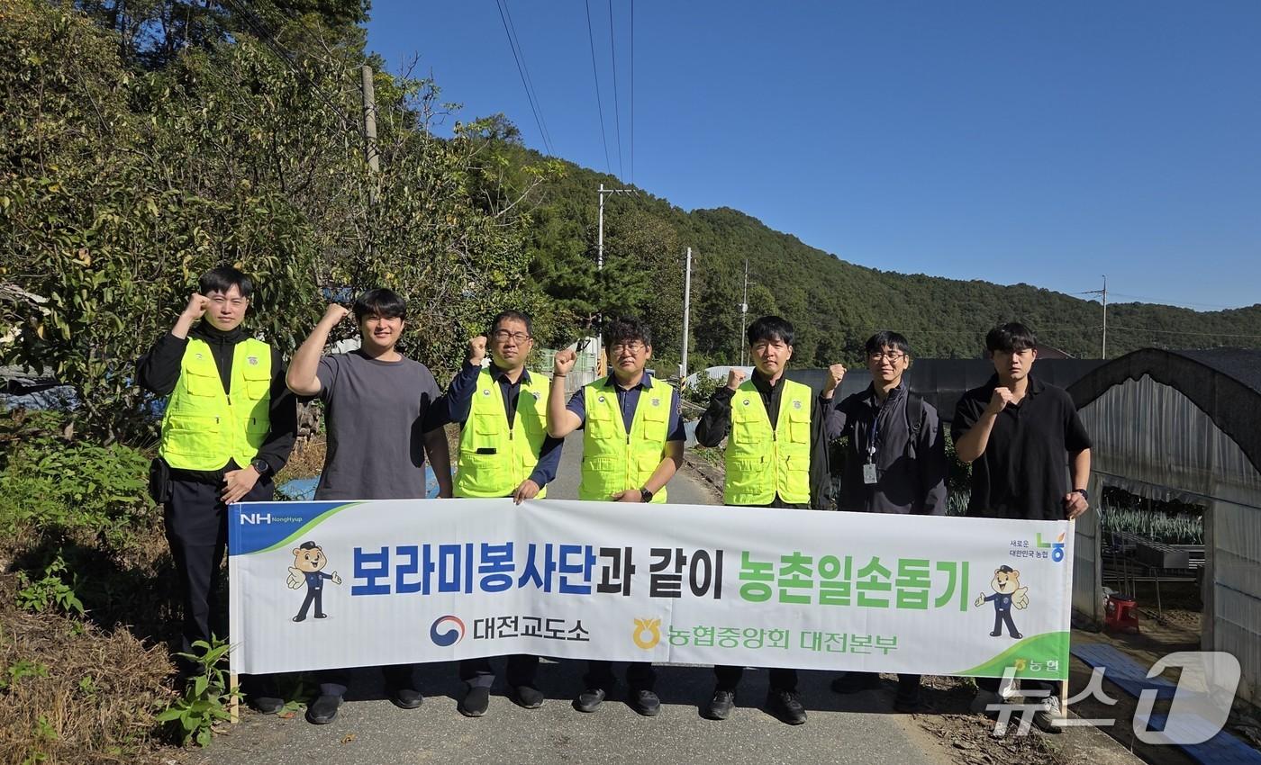 본문 이미지 - 농협중앙회 대전본부가 일손 부족 농가를 찾아 일손 돕기에 나섰다.(대전농협 제공. 재판매 및 DB 금지)