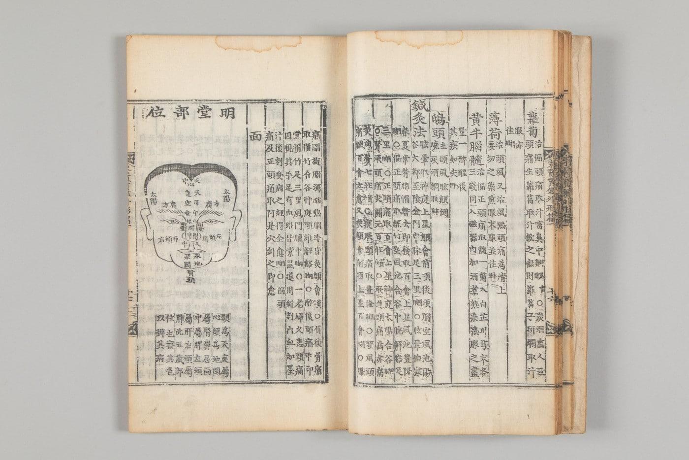 본문 이미지 - '동의보감' 명당(明堂) 부위. 얼굴 전체 또는 오장육부의 상태가 드러나는 코와 얼굴 부위를 뜻함.(허준박물관 제공)
