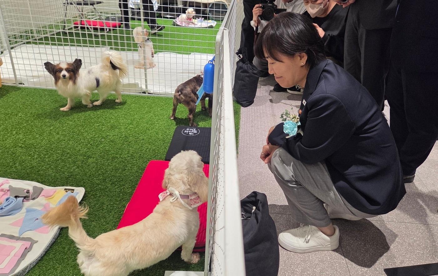 본문 이미지 - 송미령 농림축산식품부 장관이 서울 성수동에서 진행되는 '오늘은 1004' 팝업 스토어에서 보호동물들을 살펴보고 있다. ⓒ 뉴스1 한송아 기자