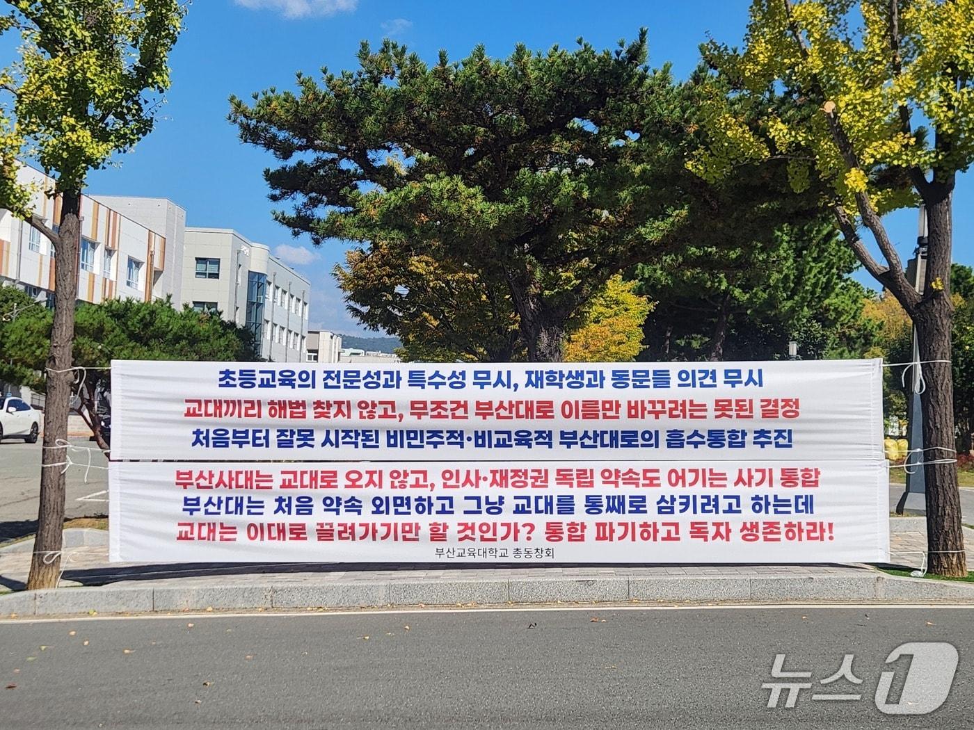 본문 이미지 - 부산교육대학교 교정에 부산대와의 통폐합을 반대하는 총동창회의 대형 현수막이 내걸려 있다. (부산교대 총동창회 제공. 재판매 및 DB금지)