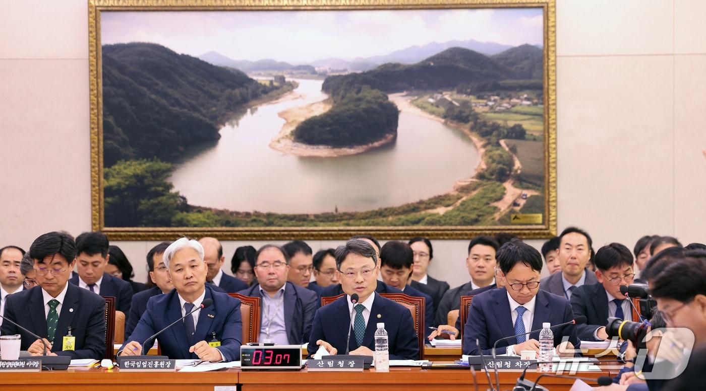 본문 이미지 - 박은식 산림청장이 20일 서울 여의도 국회 농림축산식품해양수산위원회에서 열린 산림청 등에 대한 국정감사에서 의원 질의에 답하고 있다. 2026.10.20 ⓒ 뉴스1 황기선 기자