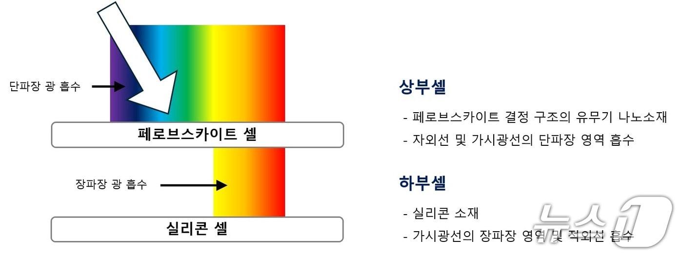 본문 이미지 - 차세대 태양광에너지 기술을 접목한 '텐덤셀' 이미지