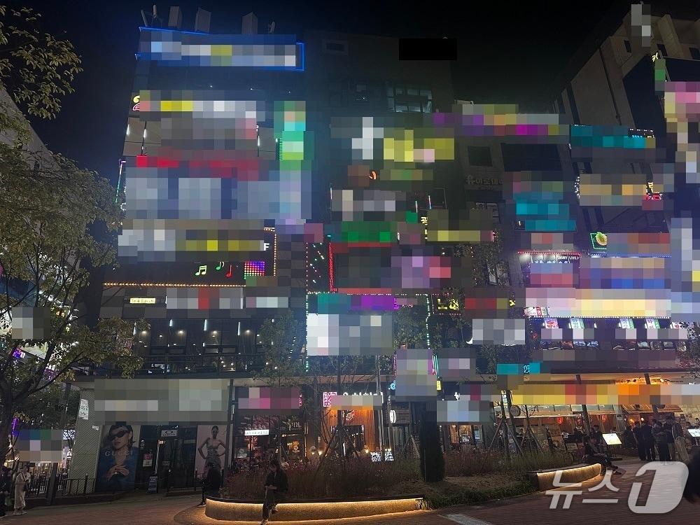 본문 이미지 - 경기남부 소재 외국인 밀집지역.(경기남부경찰청 제공. 재판매 및 DB 금지)