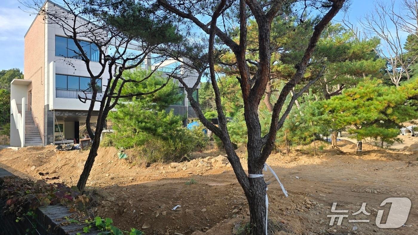 본문 이미지 - 최근 관할 구청으로부터 불법 행위가 다시 확인된 고양시 성사동의 토지. /박대준 기자