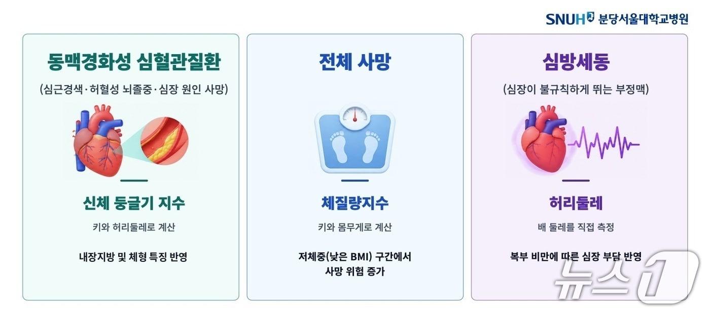 본문 이미지 - 질환별 위험을 가장 잘 보여주는 비만 지표.(분당서울대병원 제공)