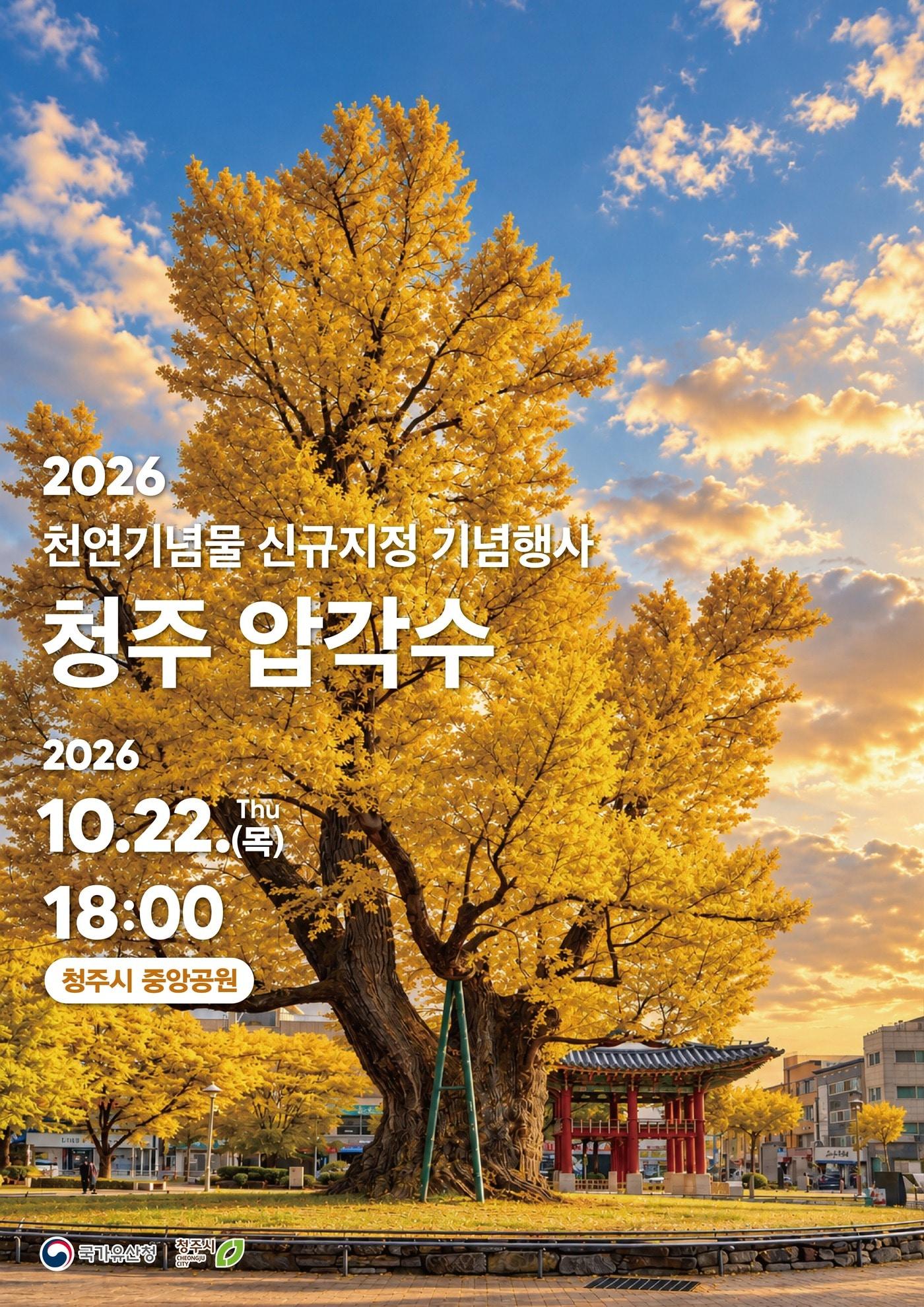 본문 이미지 - '청주 압각수' 천연기념물 등재 축제 포스터 (국가유산청 제공)